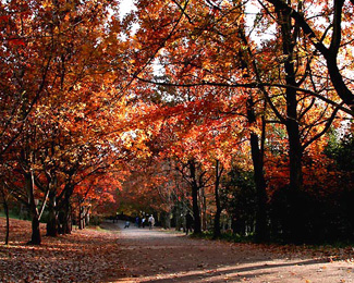 Kunming tours and China tours pictures